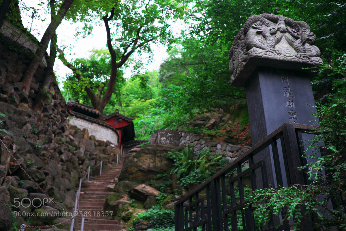 Fujifilm X-T20 sample photo. 臥龍廟 photography