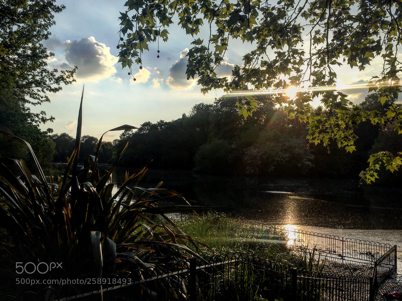 Apple iPhone 6s sample photo. Golden hour. battersea park photography