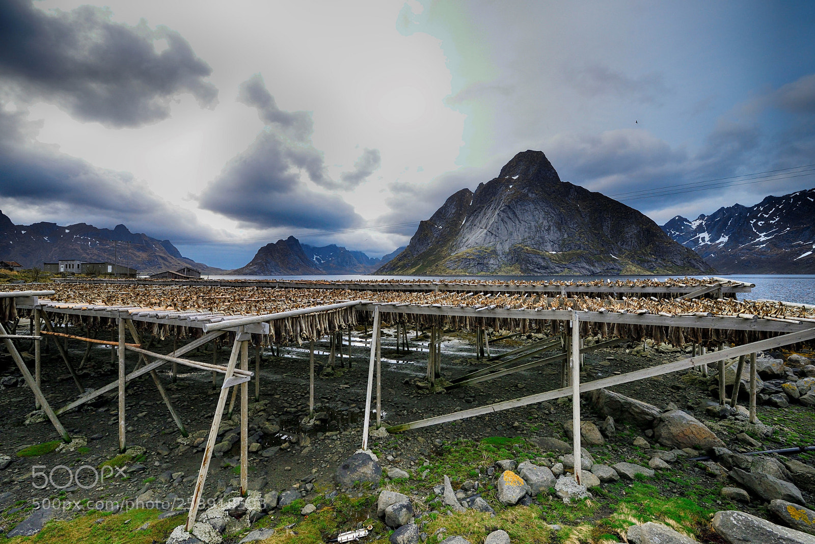 Nikon D800 sample photo. Stockfish photography