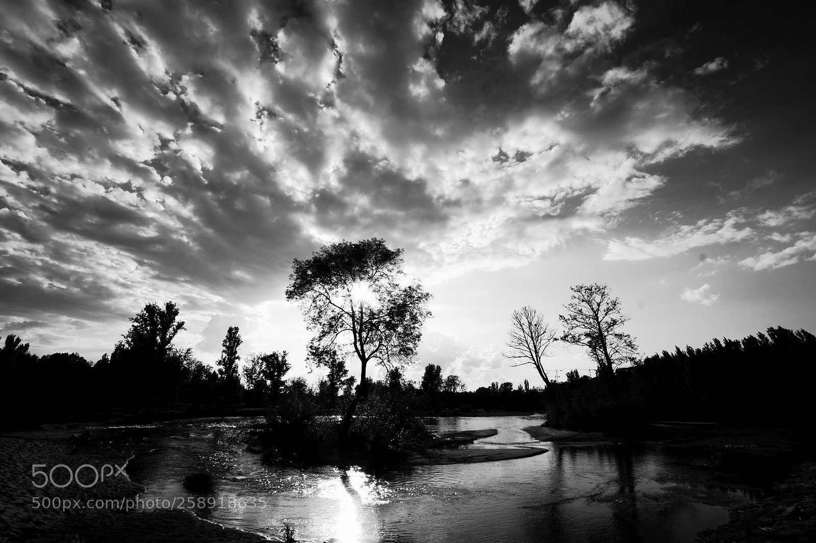 Sony SLT-A58 sample photo. The river. photography