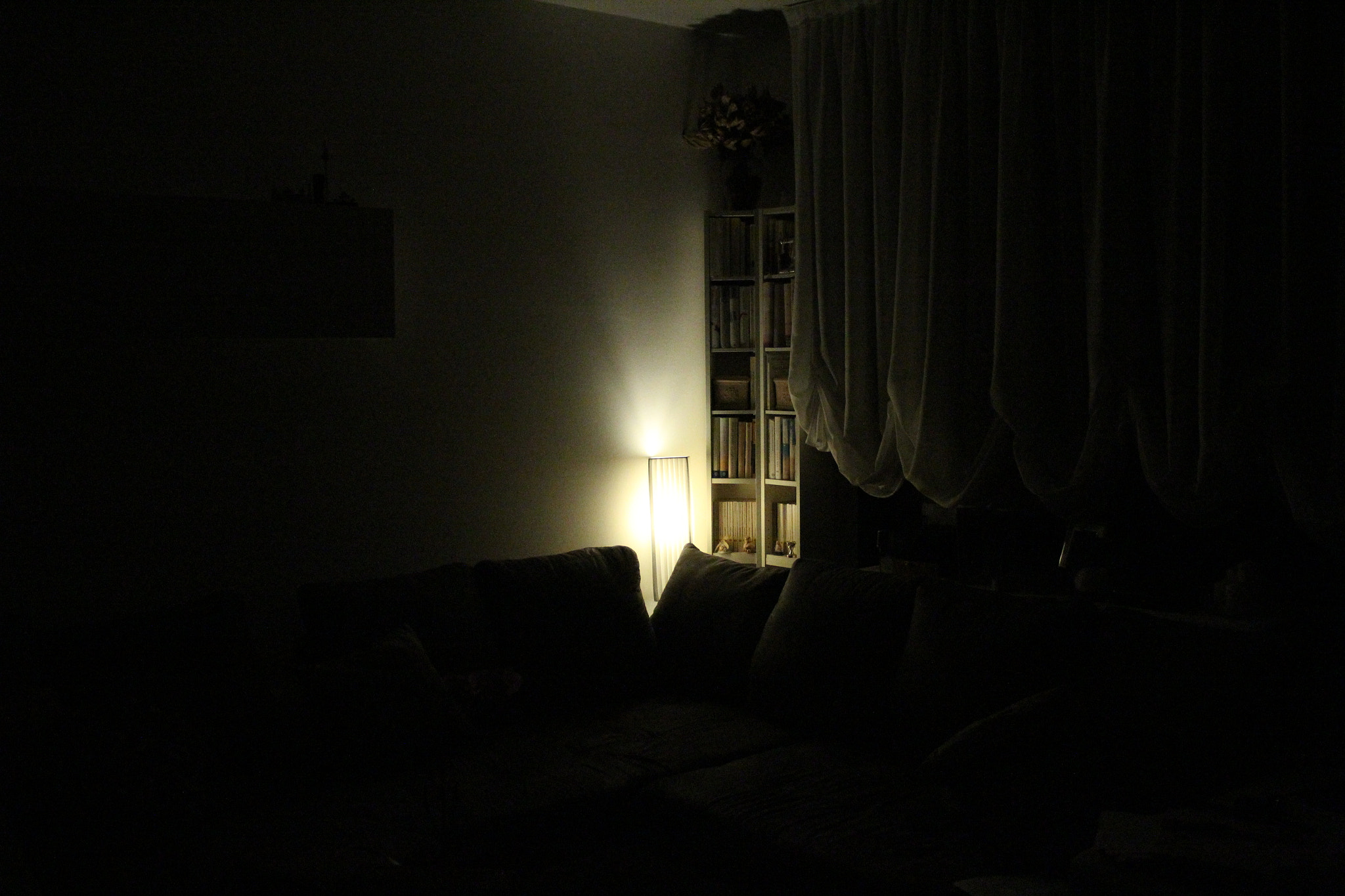 Canon EF-S 18-55mm F3.5-5.6 II sample photo. My home photography