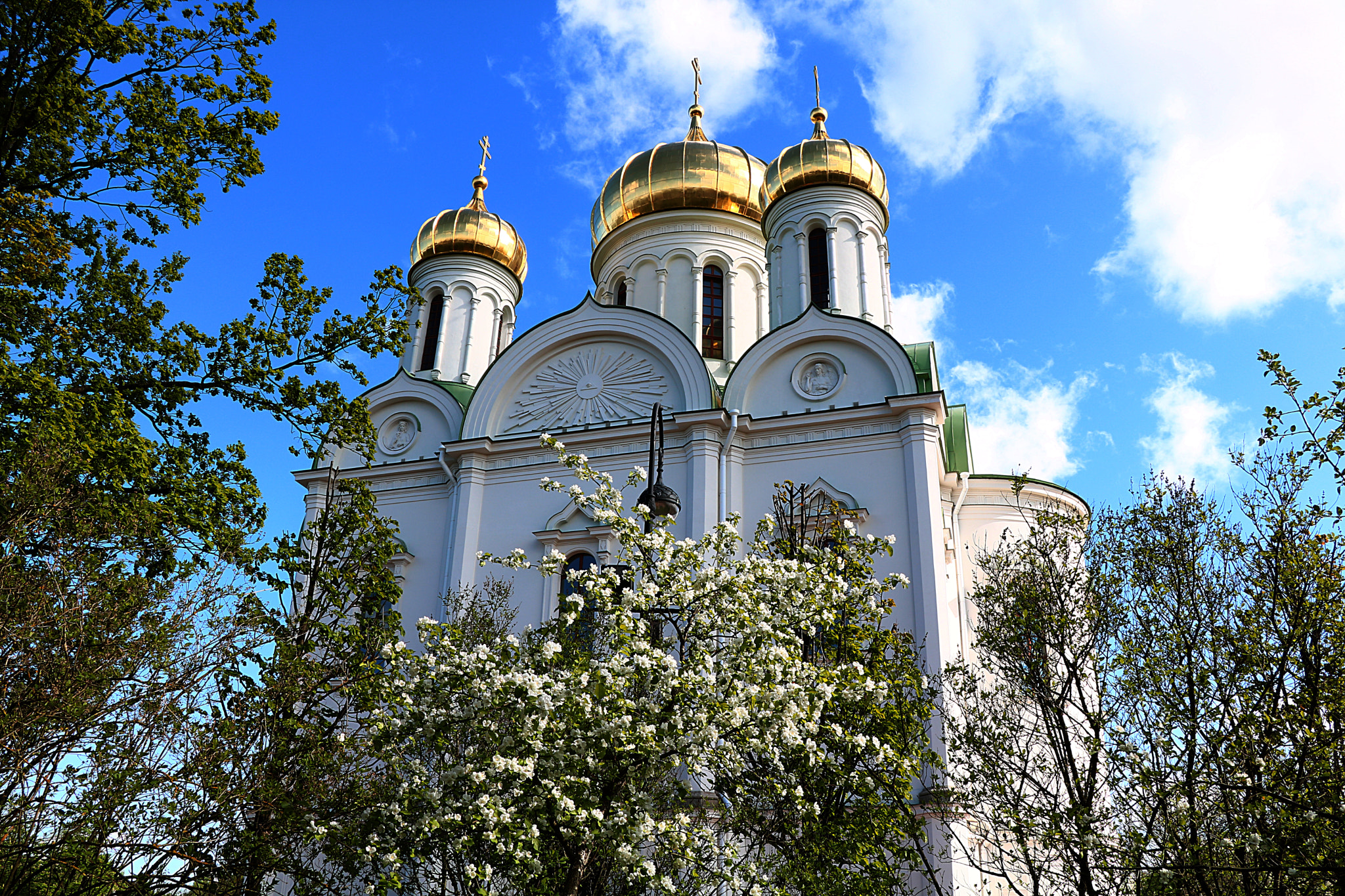 Canon EOS 750D (EOS Rebel T6i / EOS Kiss X8i) sample photo. Царское село photography