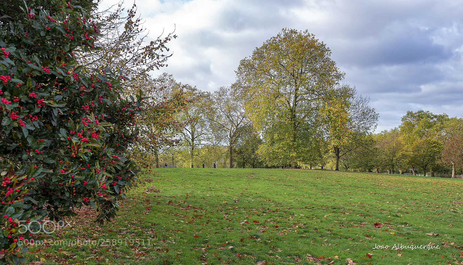 Nikon D600 sample photo. Primerose hill park photography