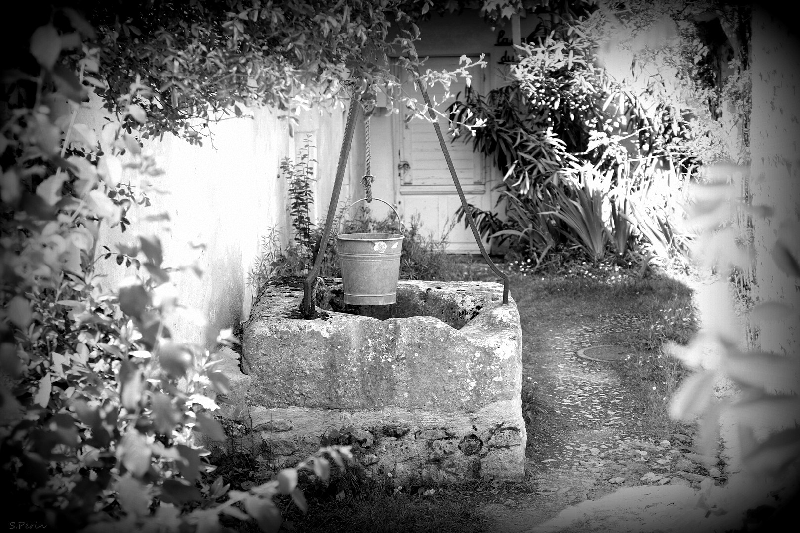 Canon EF 24-70mm F4L IS USM sample photo. Secret garden photography