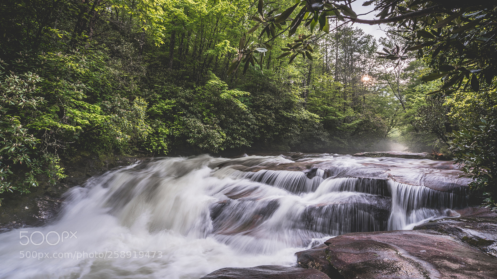 Sony a7 III sample photo. Pisgah photography