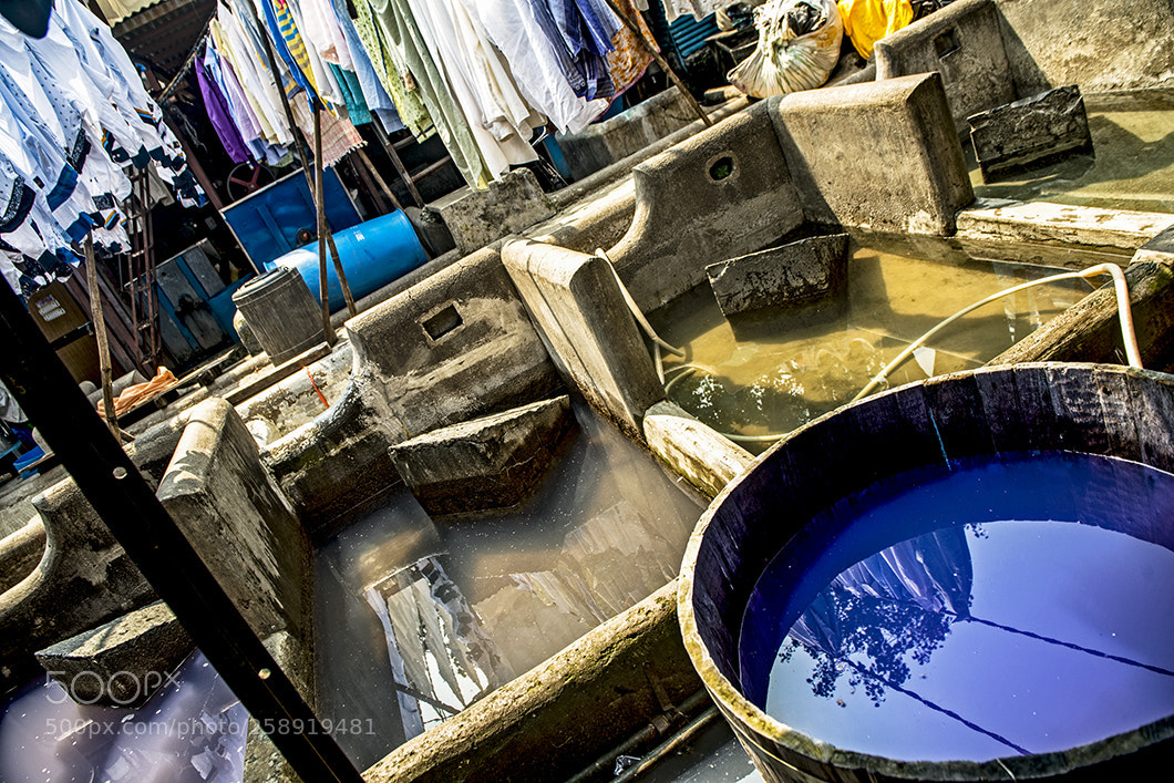 Nikon D800 sample photo. Untitled photography