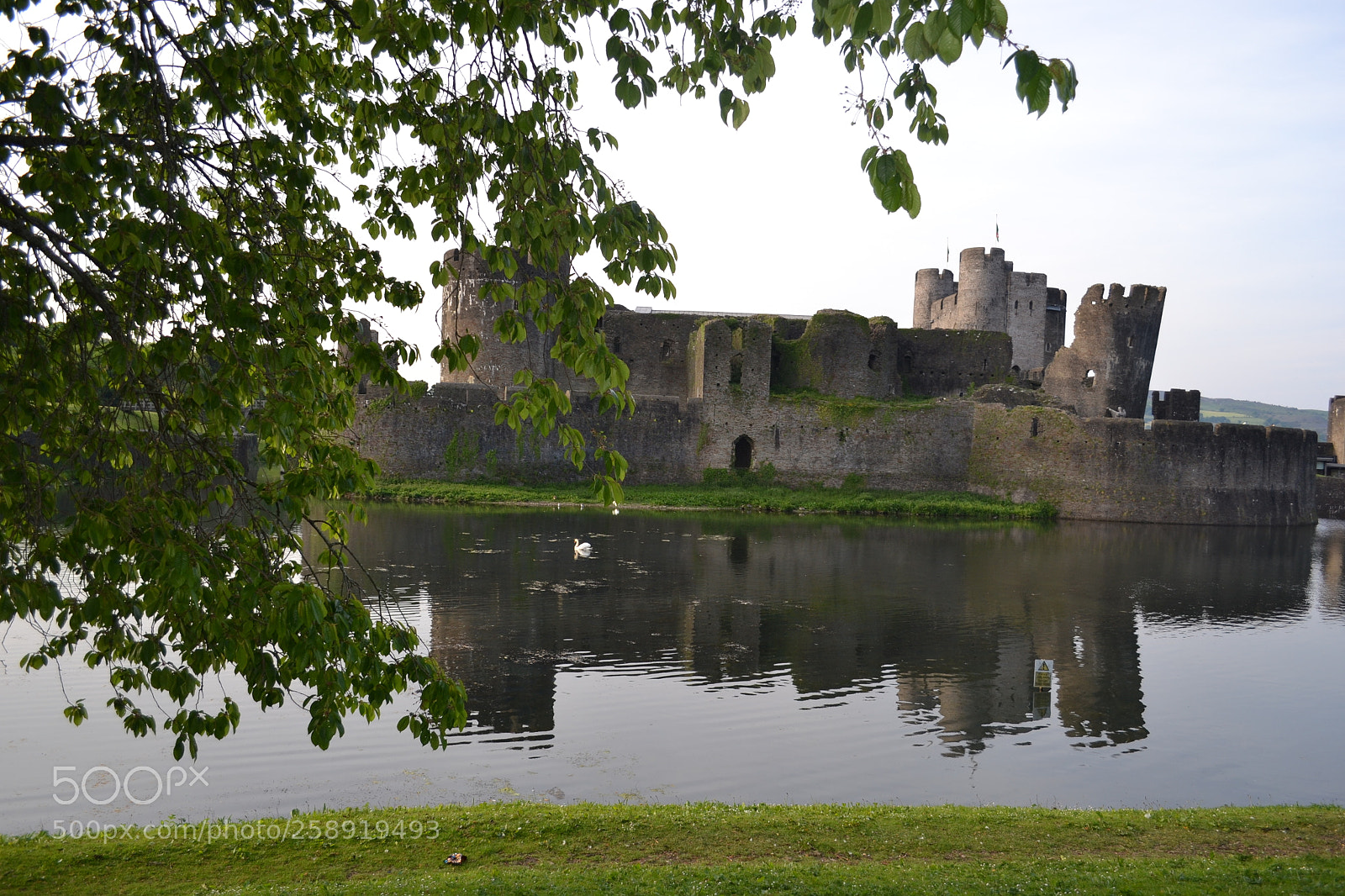 Nikon D3100 sample photo. Untitled photography