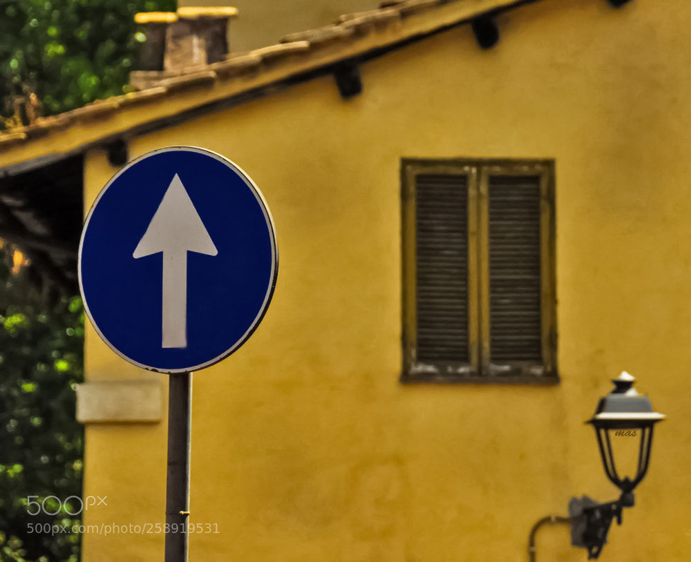 Nikon D90 sample photo. From rome photography