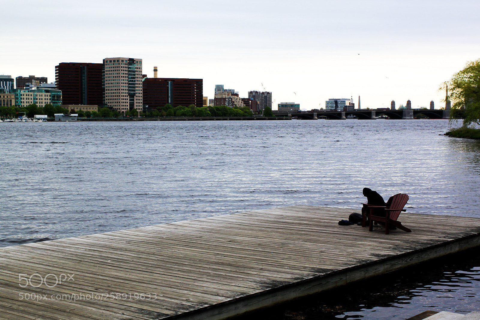 Canon EOS 500D (EOS Rebel T1i / EOS Kiss X3) sample photo. . photography