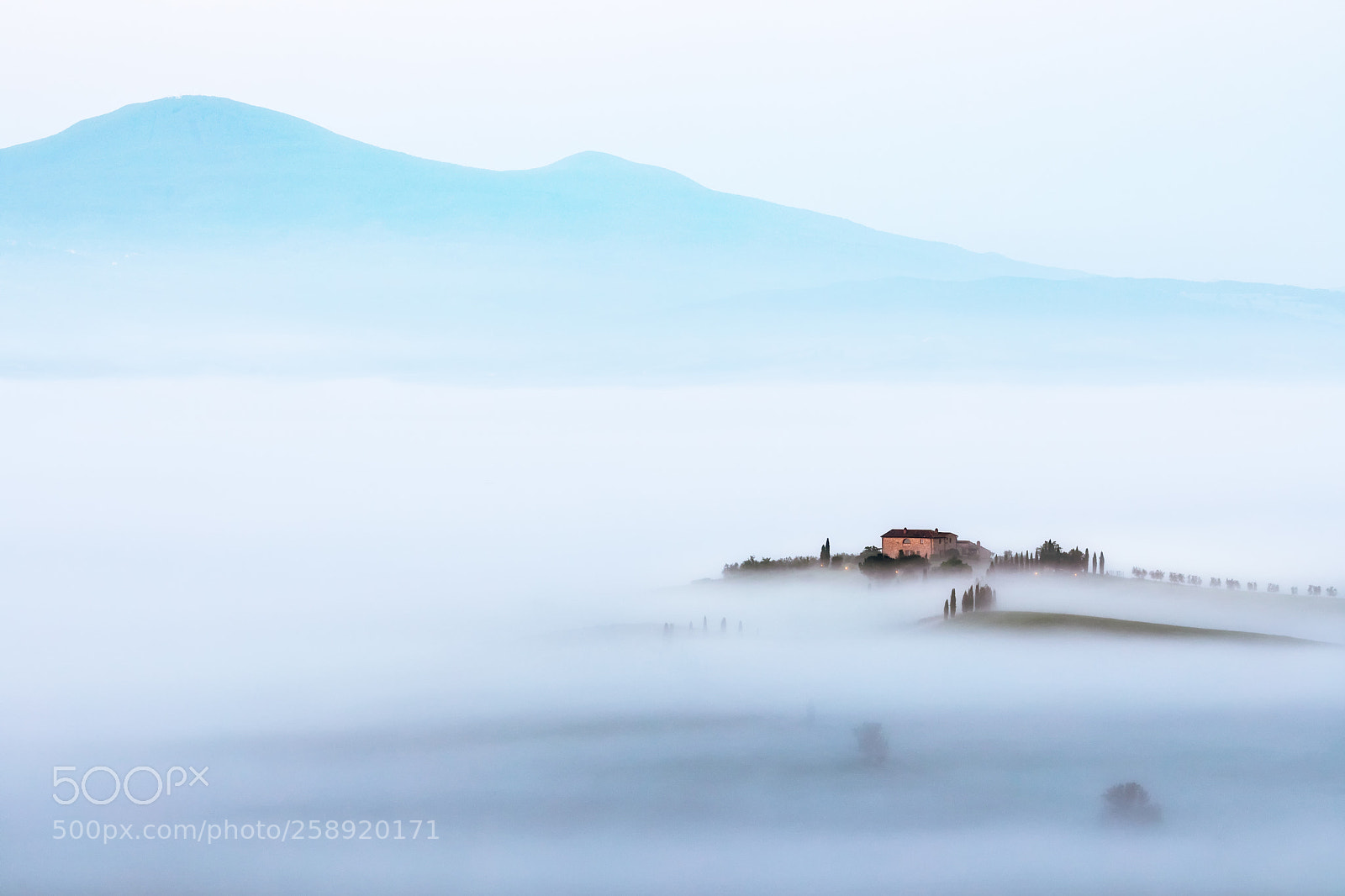 Canon EOS 5D Mark IV sample photo. Sea of fog photography