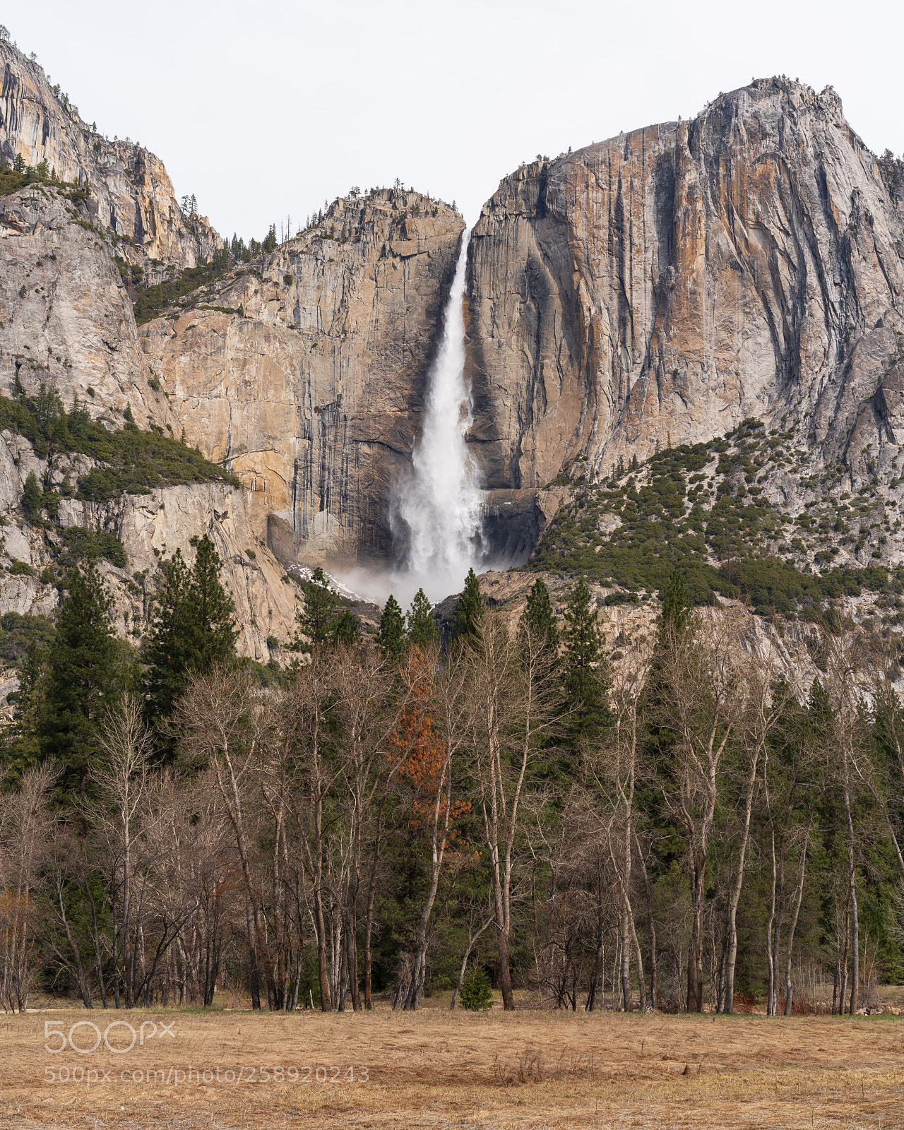 Sony a7R III sample photo. Yosemite falls photography