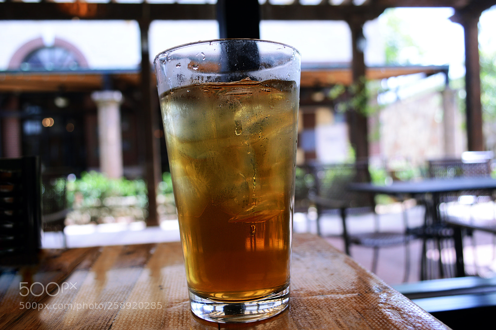 Nikon D3200 sample photo. Thirsty photography