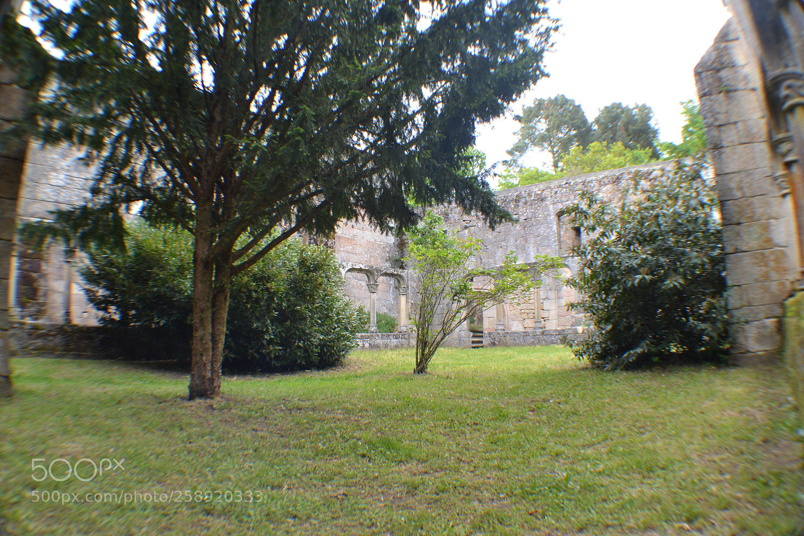 Nikon D3100 sample photo. Xardin do claustro photography