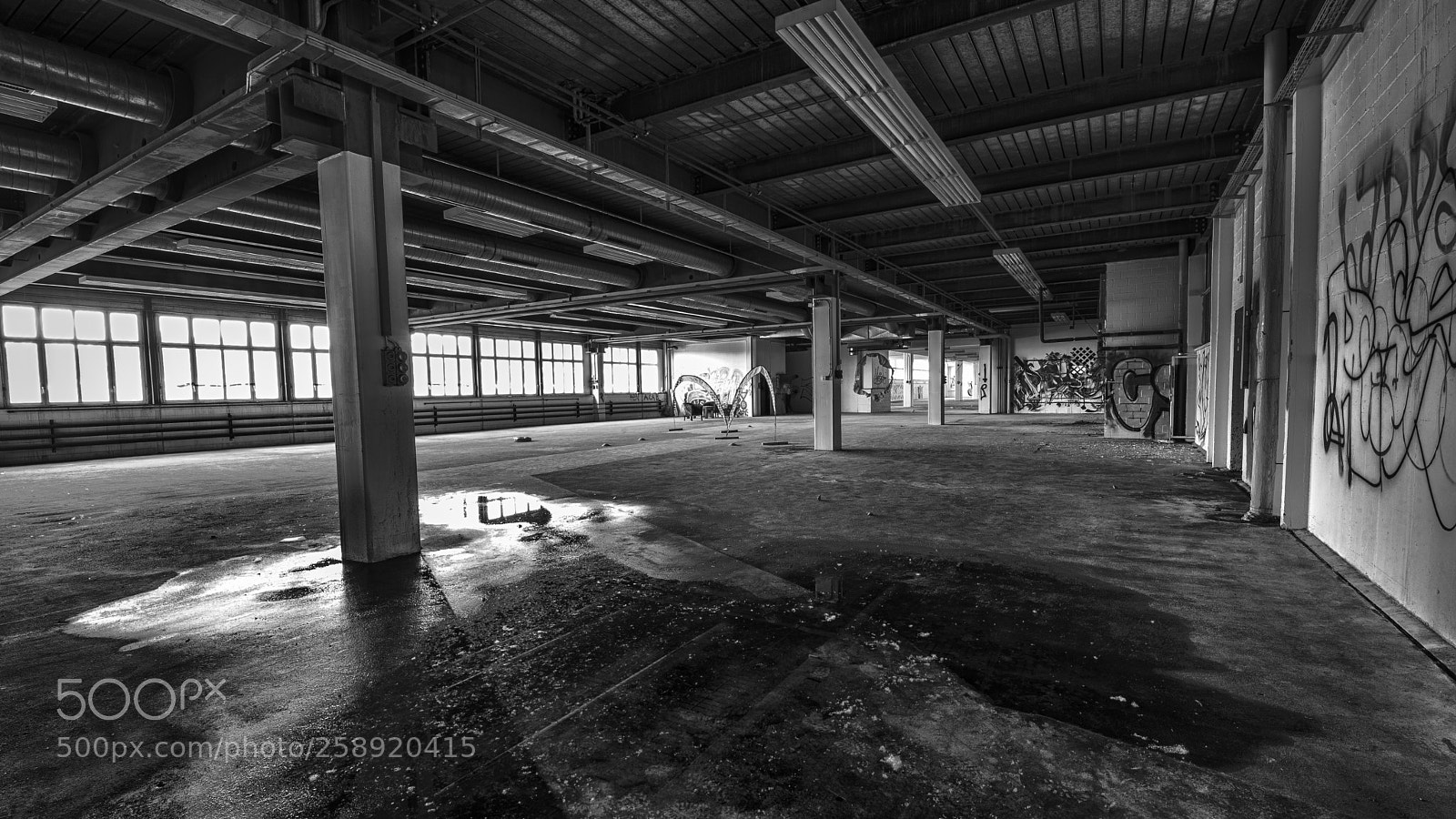 Nikon D610 sample photo. Lost place photography