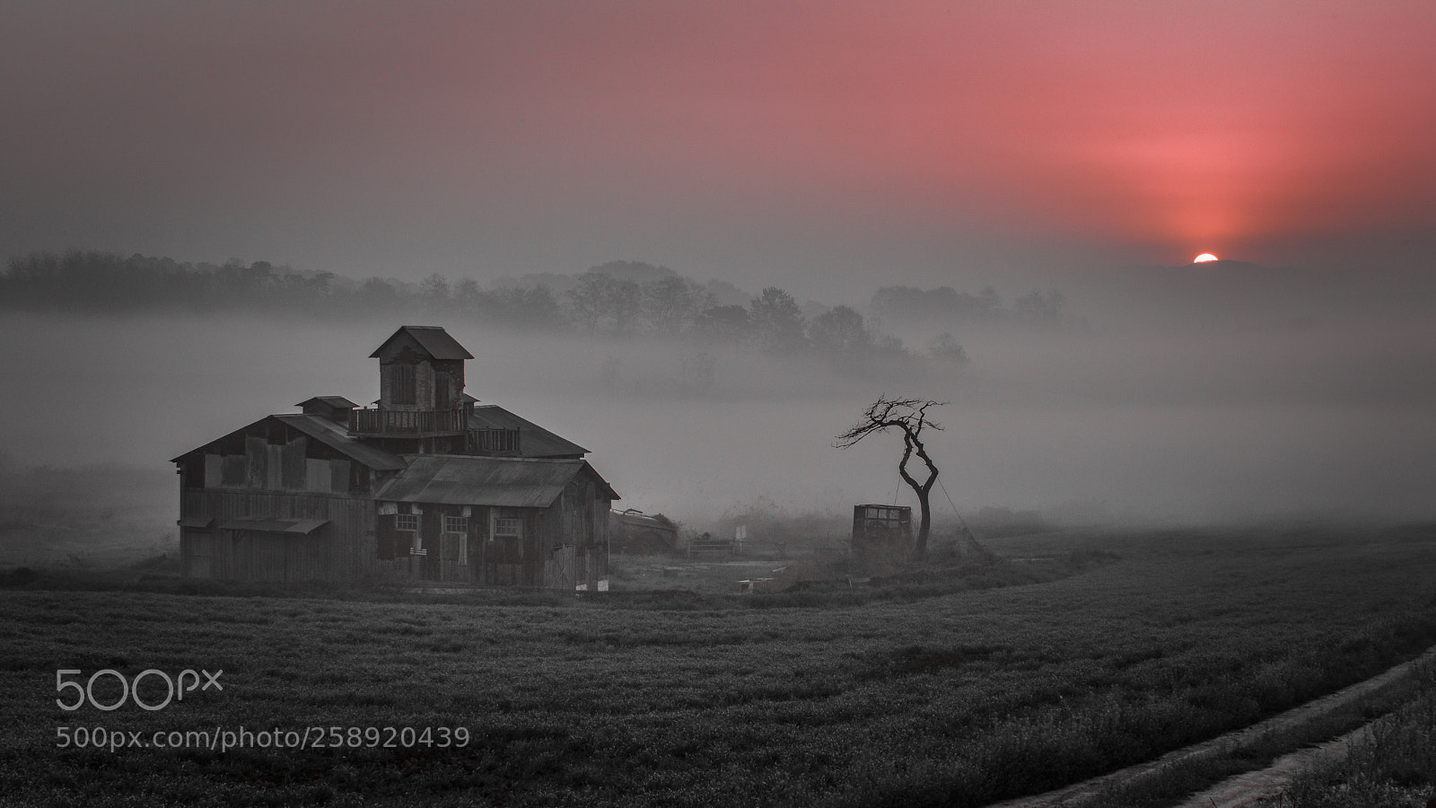 Nikon D810 sample photo. Untitled photography