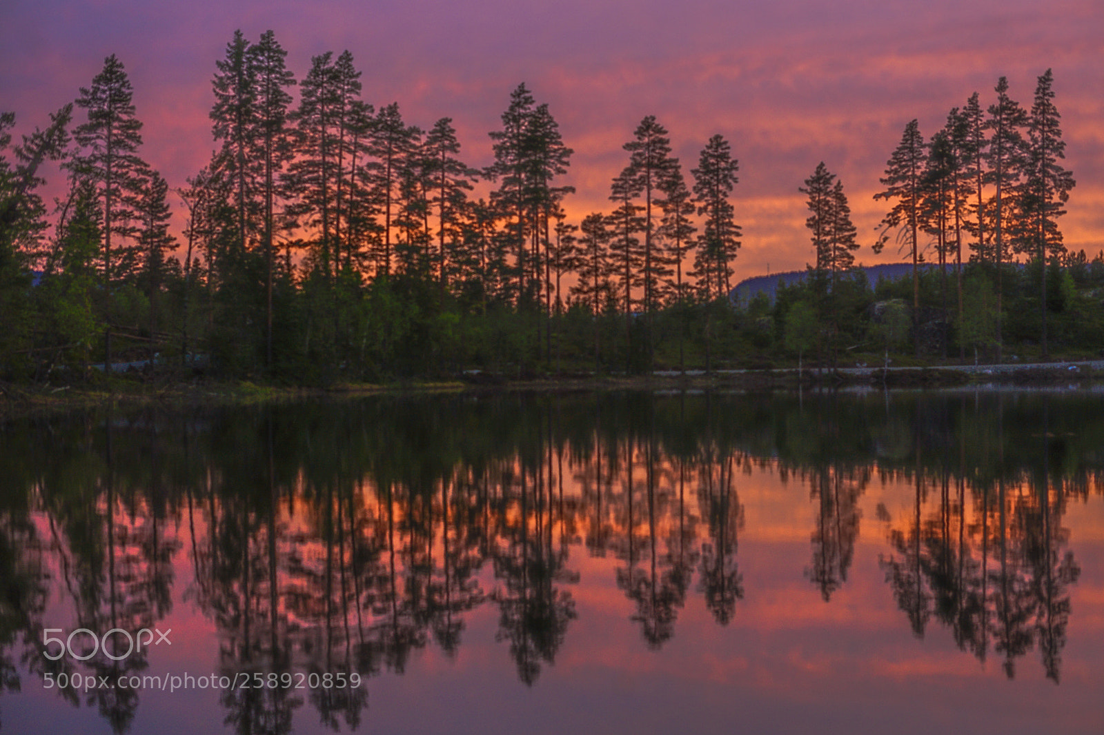 Sony a7 II sample photo. Sunset time photography