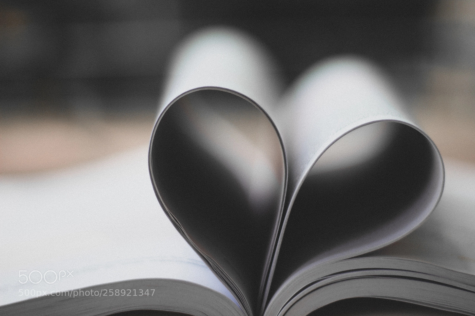 Canon EOS 1300D (EOS Rebel T6 / EOS Kiss X80) sample photo. Book pages covered love.. photography