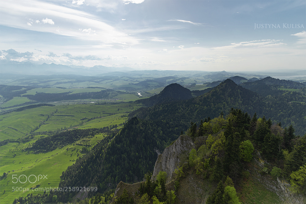 Nikon D810 sample photo. Xlviii photography