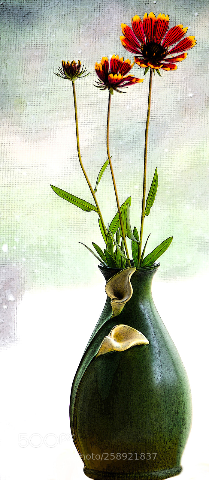 Nikon D7200 sample photo. Vased photography