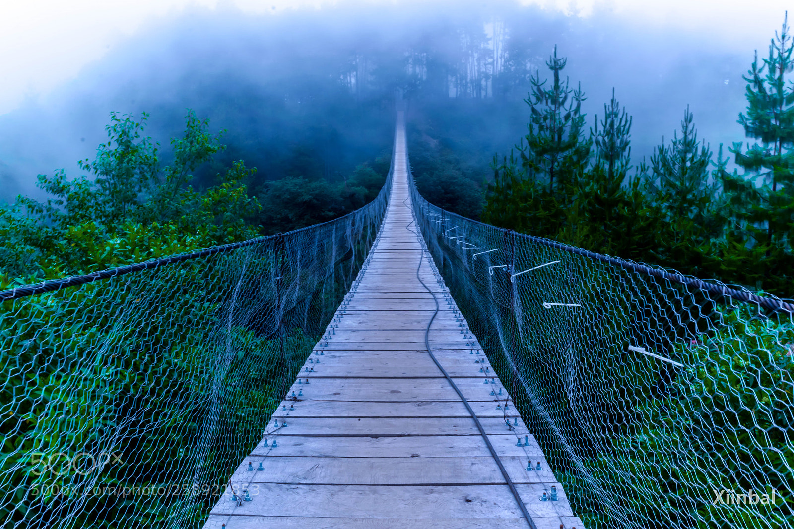 Nikon D3300 sample photo. Puente de madera photography