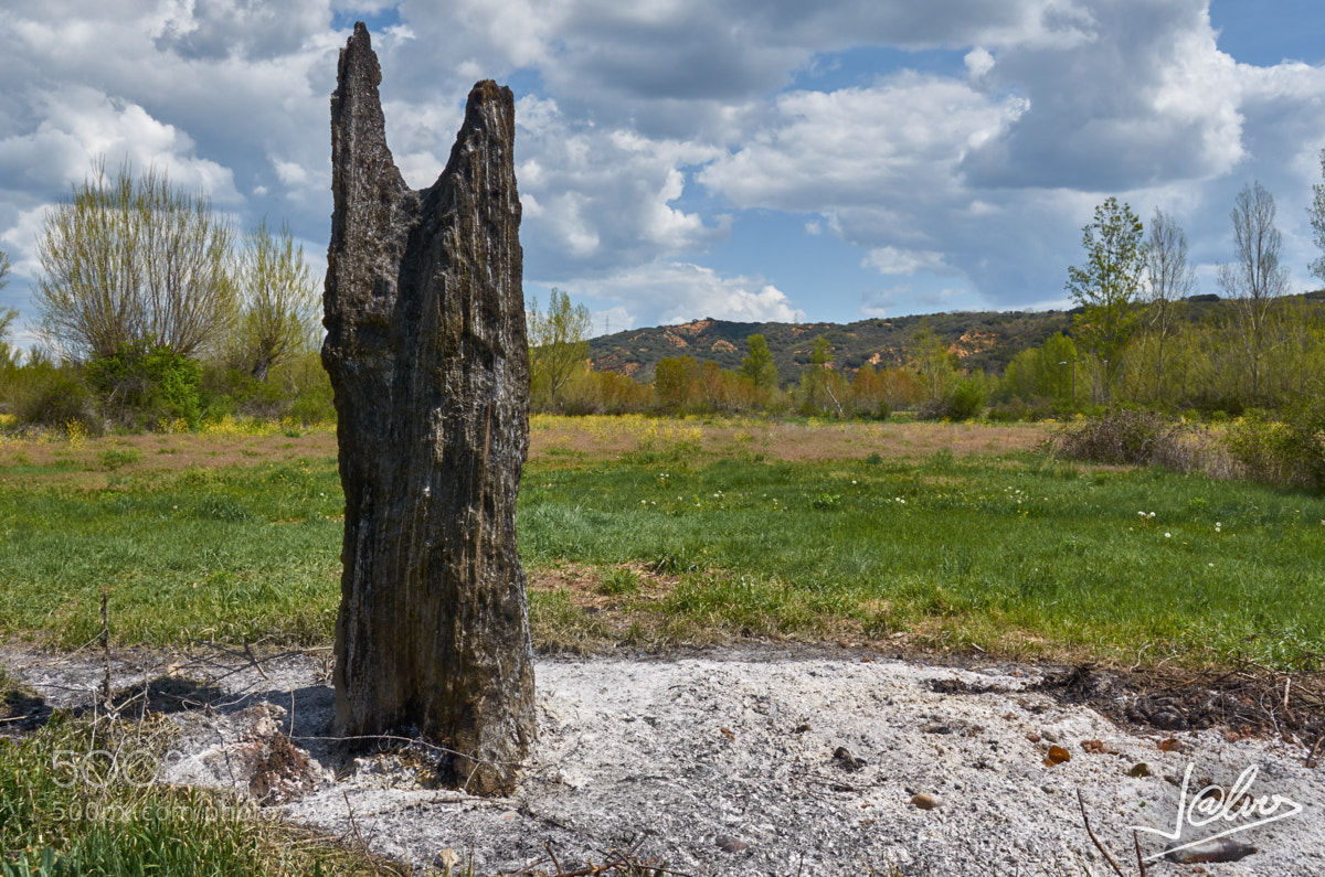 Nikon D5100 sample photo. Totem estratificado photography