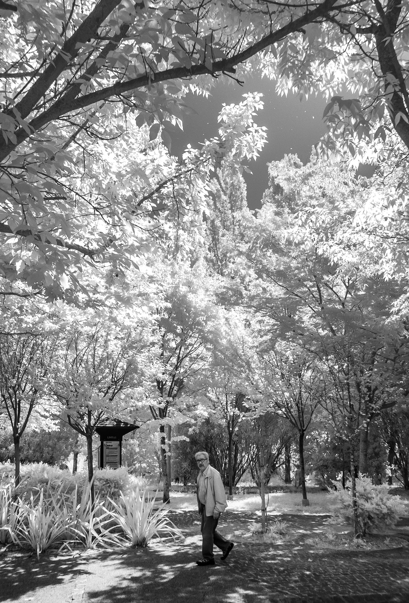 Nikon 1 J1 sample photo. Surprised! photography