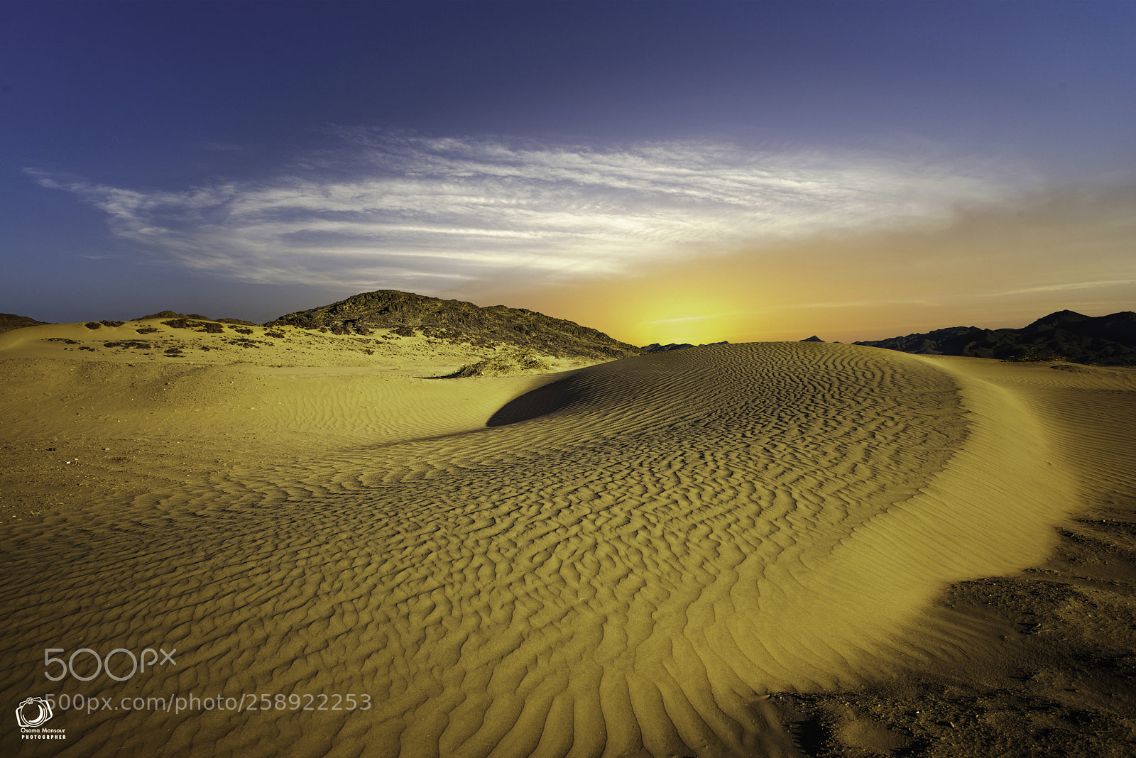 Nikon D610 sample photo. Golden desert photography