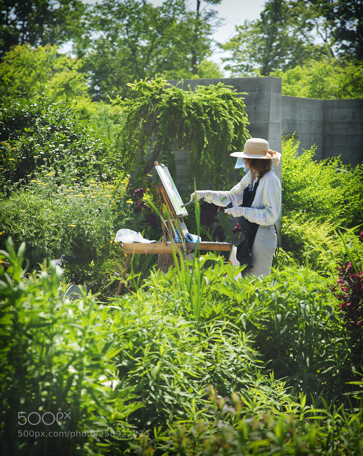 Canon EOS 5D Mark IV sample photo. Artist painting a garden photography