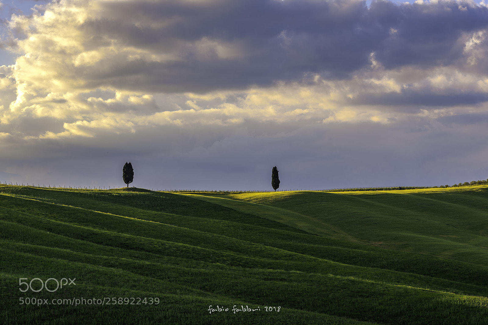 Nikon D750 sample photo. Val d'orcia - two photography