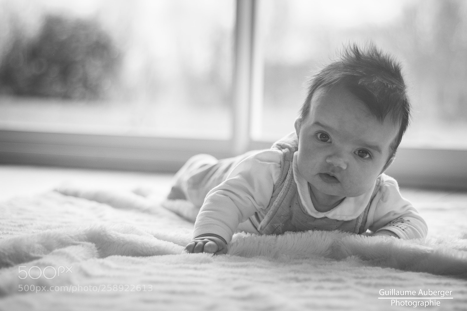 Canon EOS 600D (Rebel EOS T3i / EOS Kiss X5) sample photo. Baby crawl on the photography