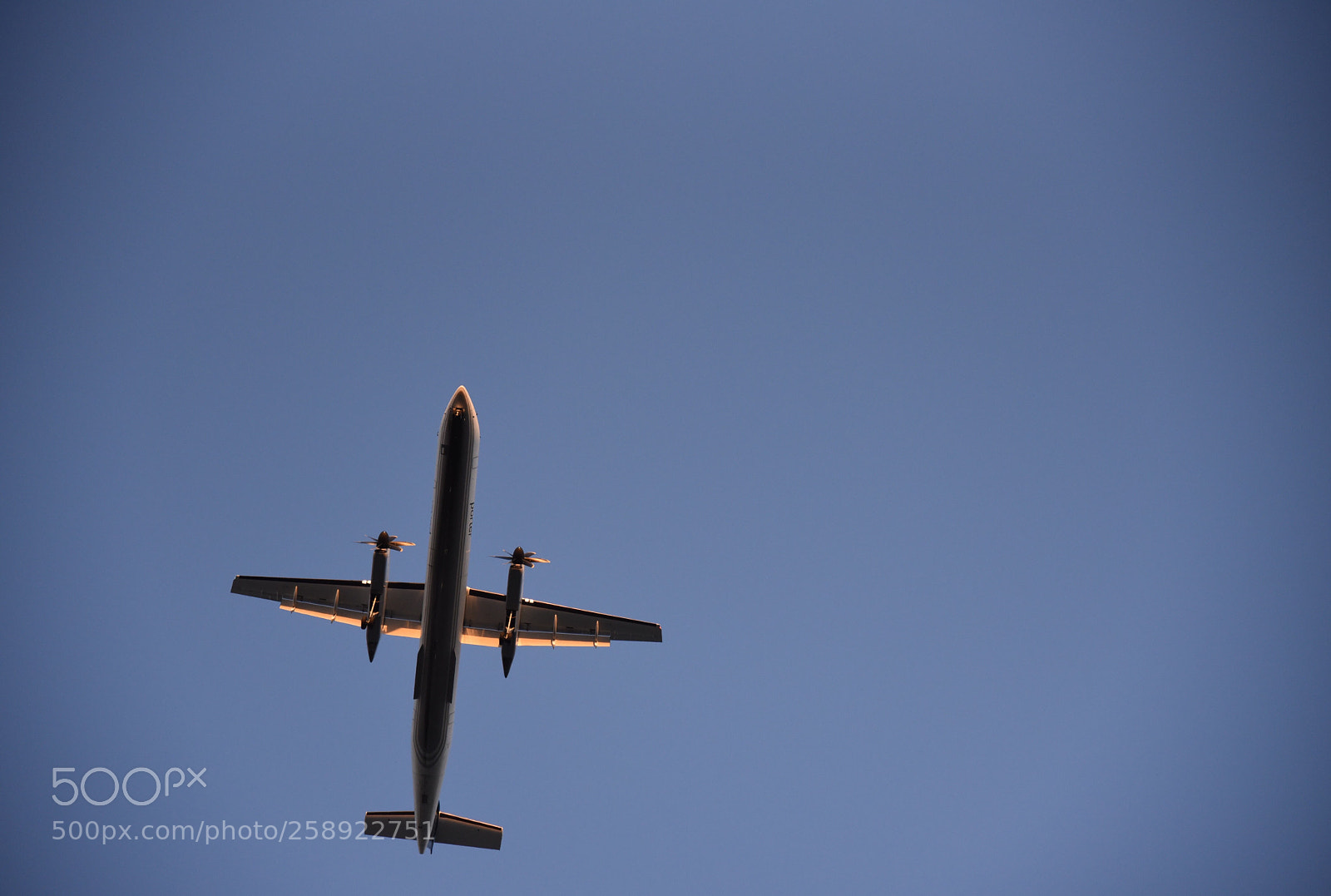 Nikon D750 sample photo. Untitled photography