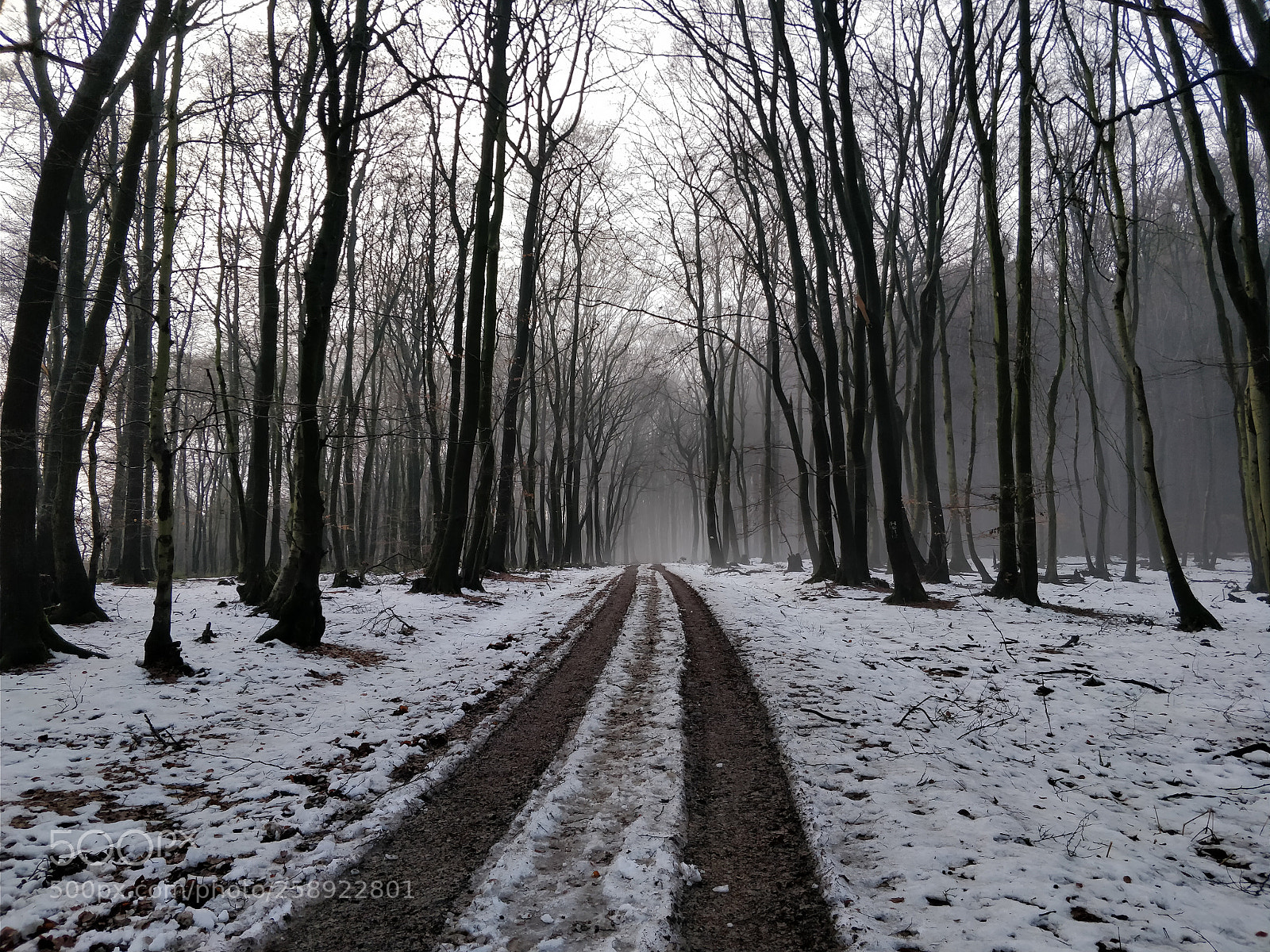 OnePlus 5 sample photo. Winter photography