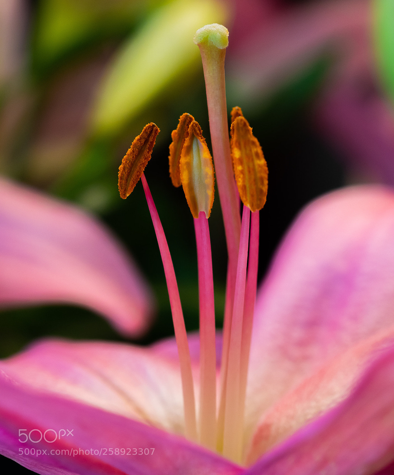 Nikon D7500 sample photo. Simple photography
