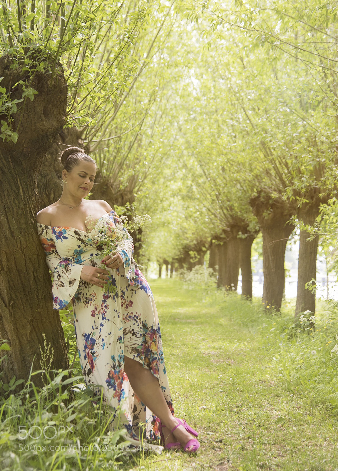 Nikon D810 sample photo. Forest i photography