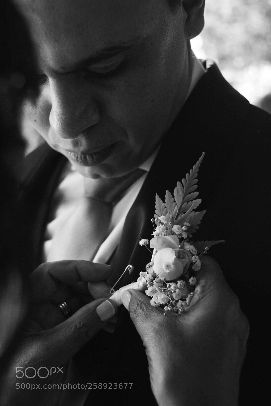 Nikon D7100 sample photo. Novio photography