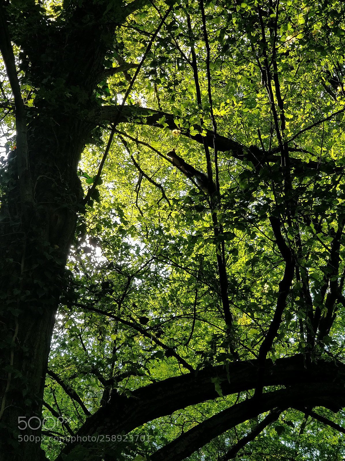 OnePlus 5 sample photo. Explorer photography