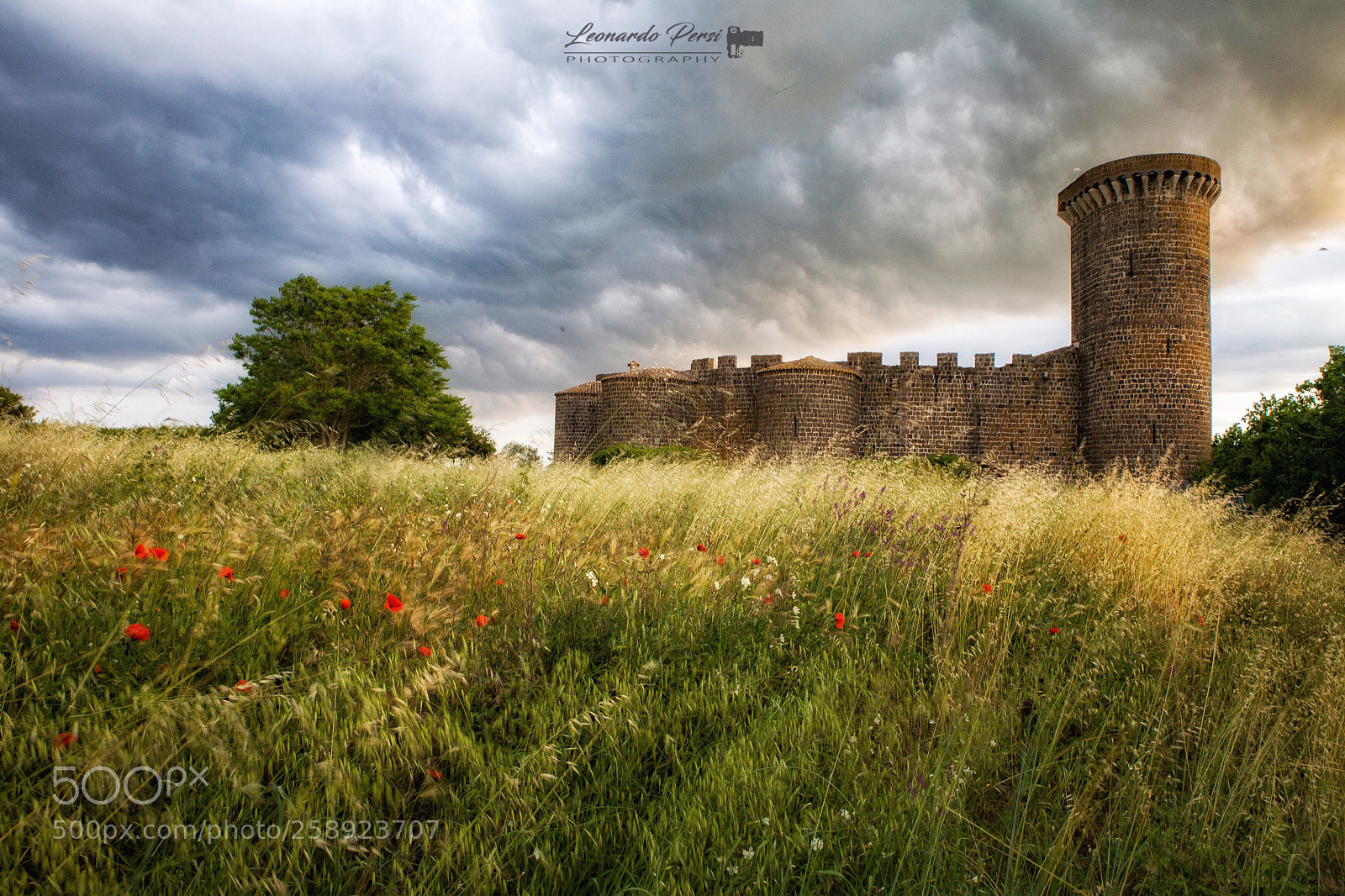 Canon EOS 5D Mark II sample photo. Castello di vulci  photography