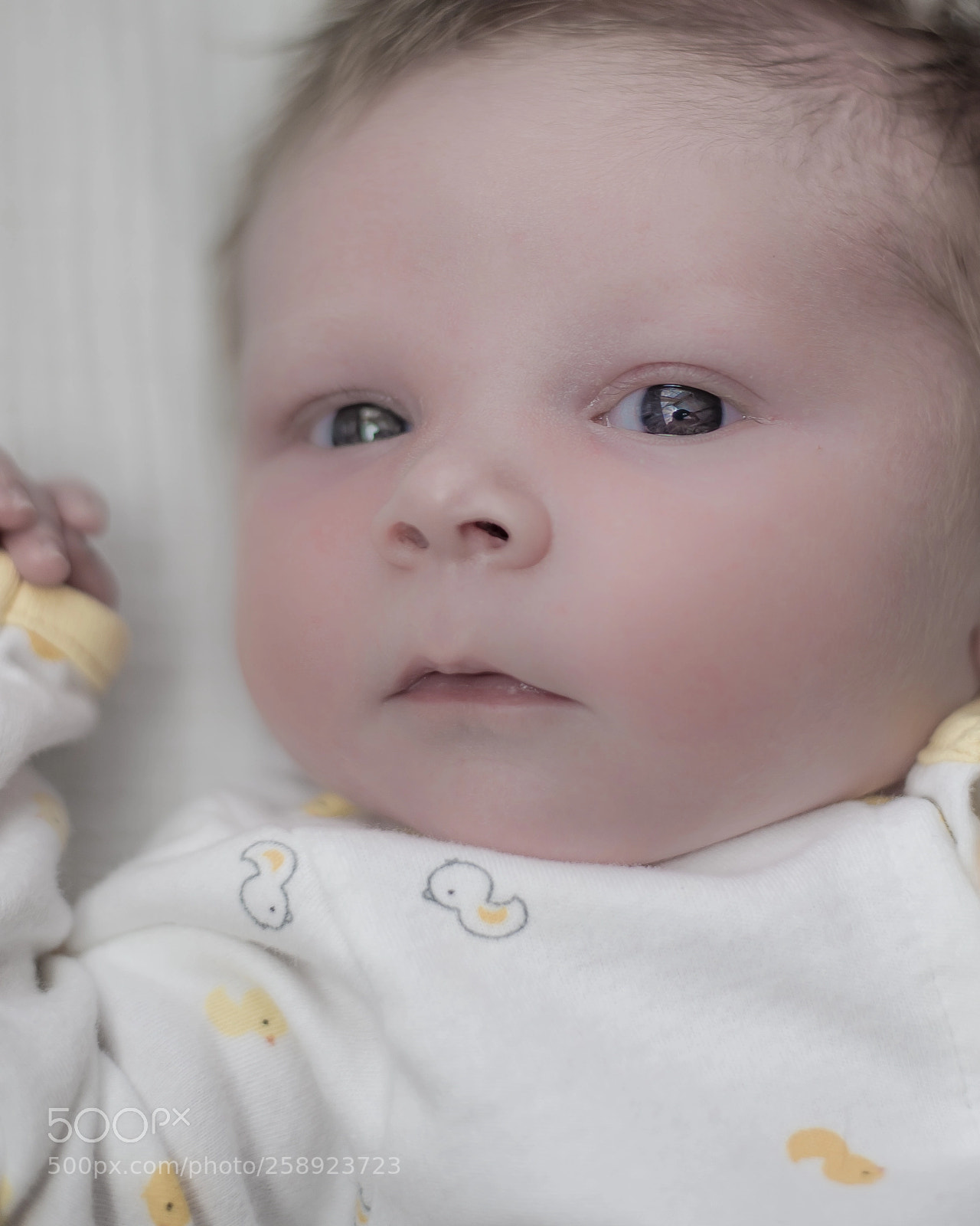 Nikon D610 sample photo. Baby photo photography