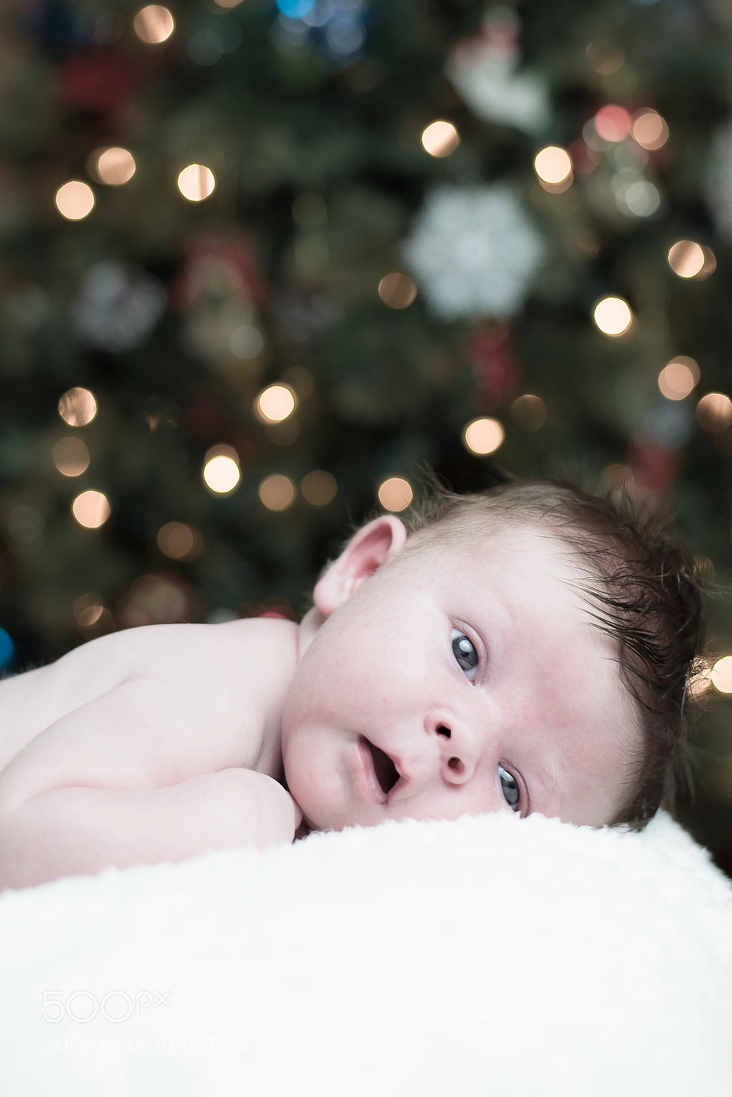 Nikon D610 sample photo. Baby photo photography
