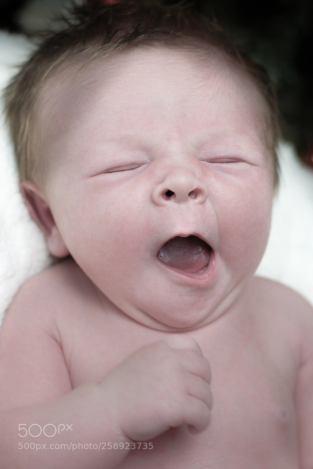 Nikon D610 sample photo. Baby photo photography