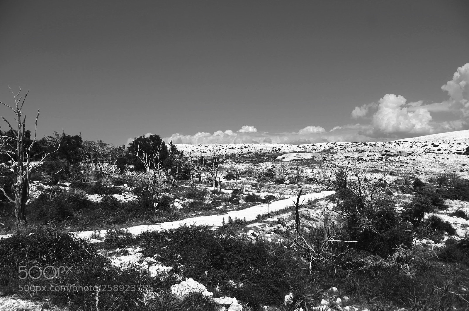 Nikon D300 sample photo. Goli otok photography