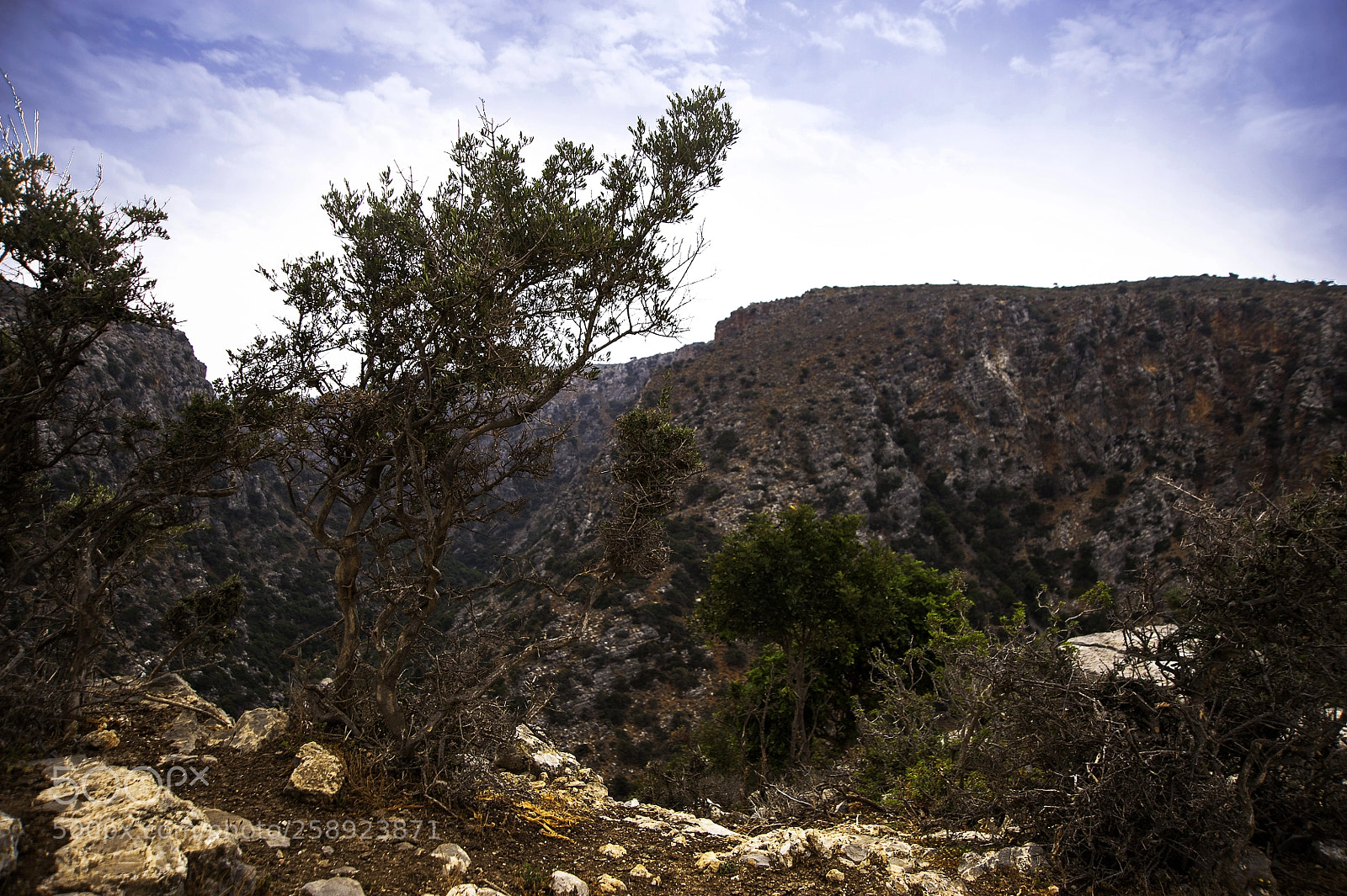 Nikon D700 sample photo. Crete, aposelemis canyon photography
