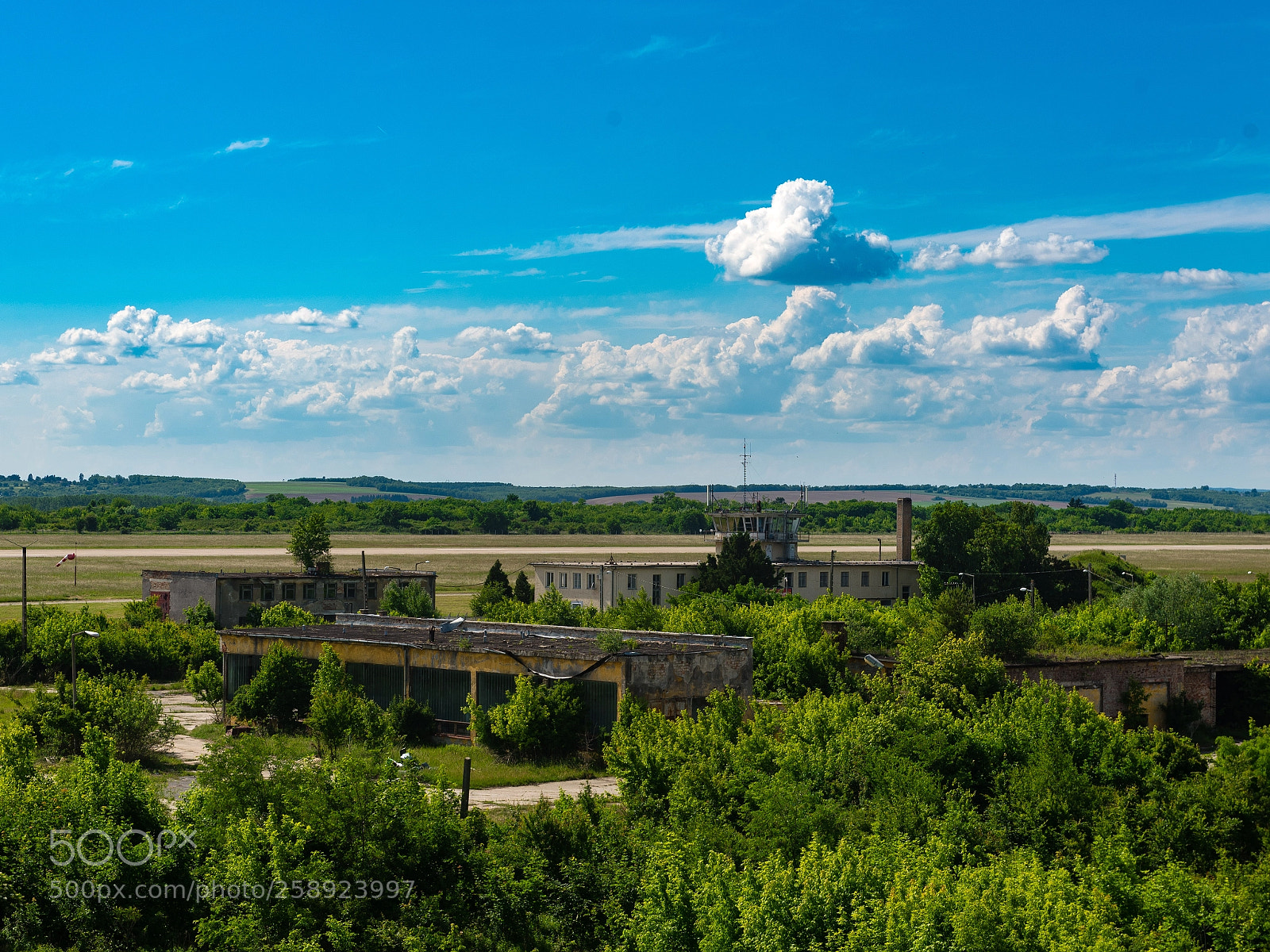 Nikon D750 sample photo. Nature > human photography