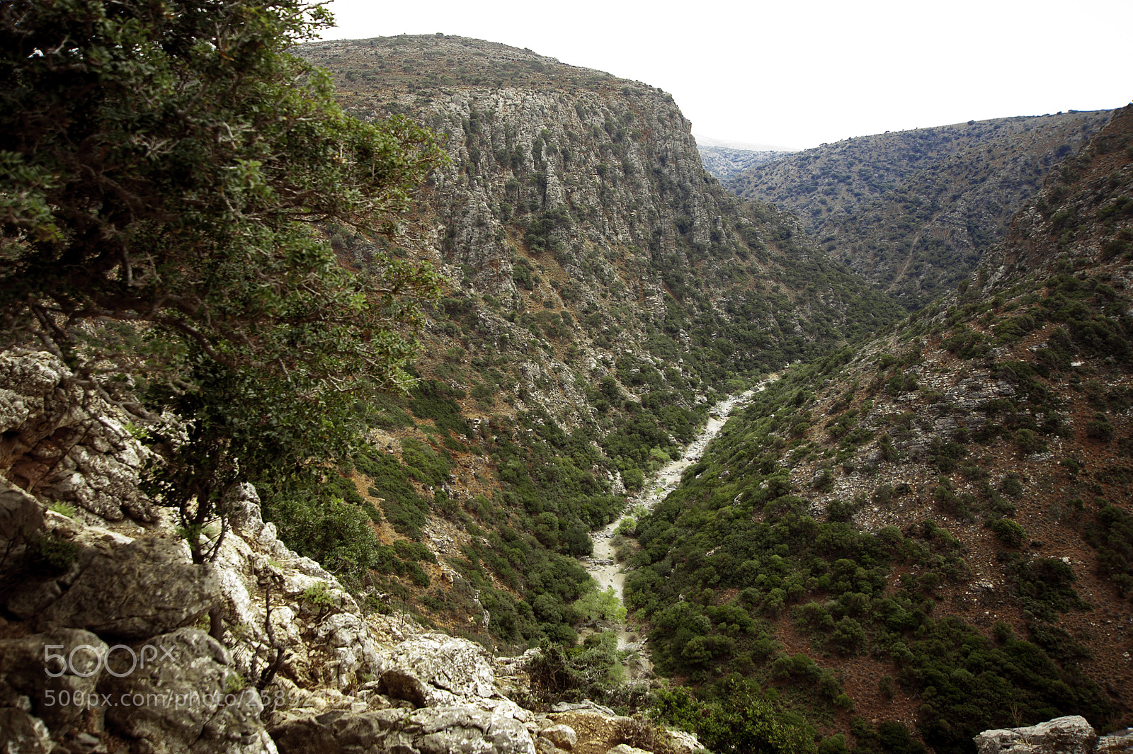 Nikon D700 sample photo. Crete, aposelemis canyon photography