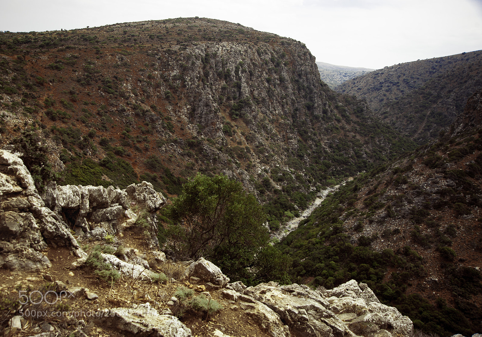 Nikon D700 sample photo. Crete, aposelemis canyon photography