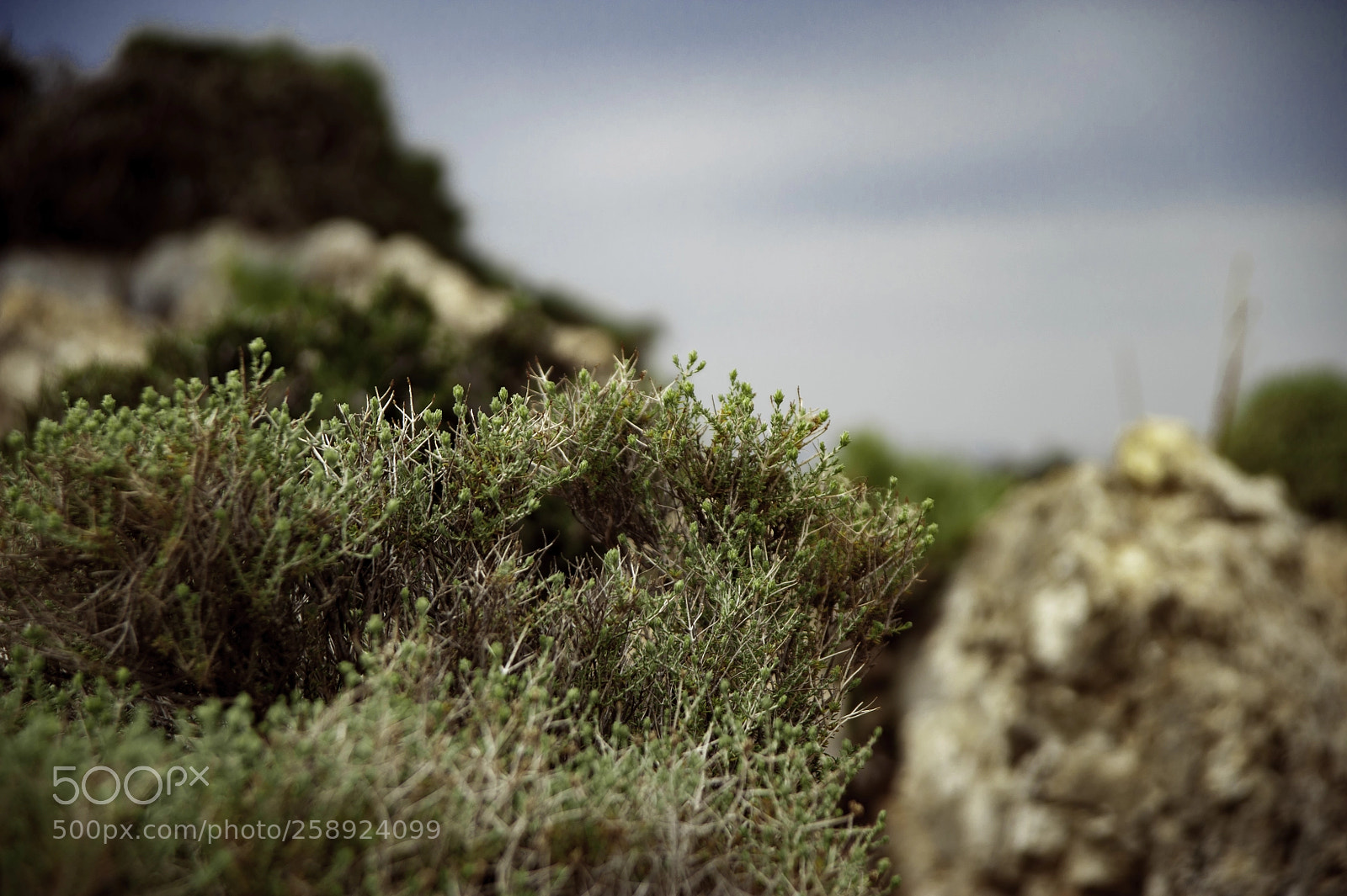 Nikon D700 sample photo. Crete, aposelemis canyon photography