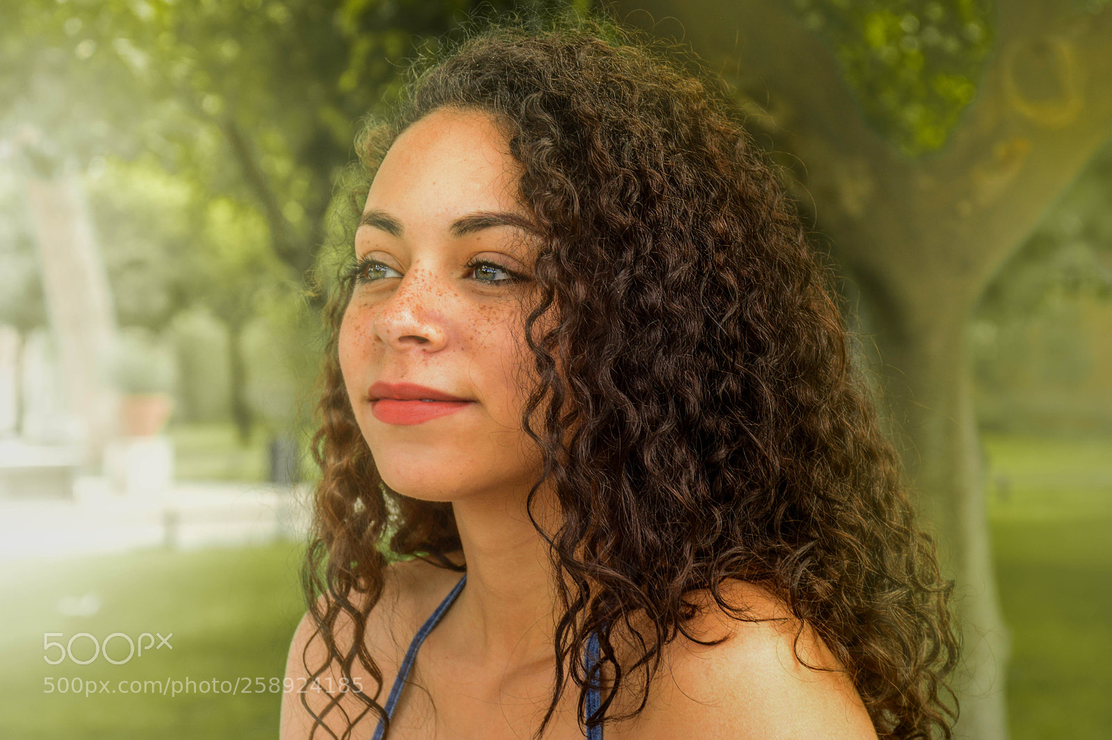 Nikon D5300 sample photo. Frg photography