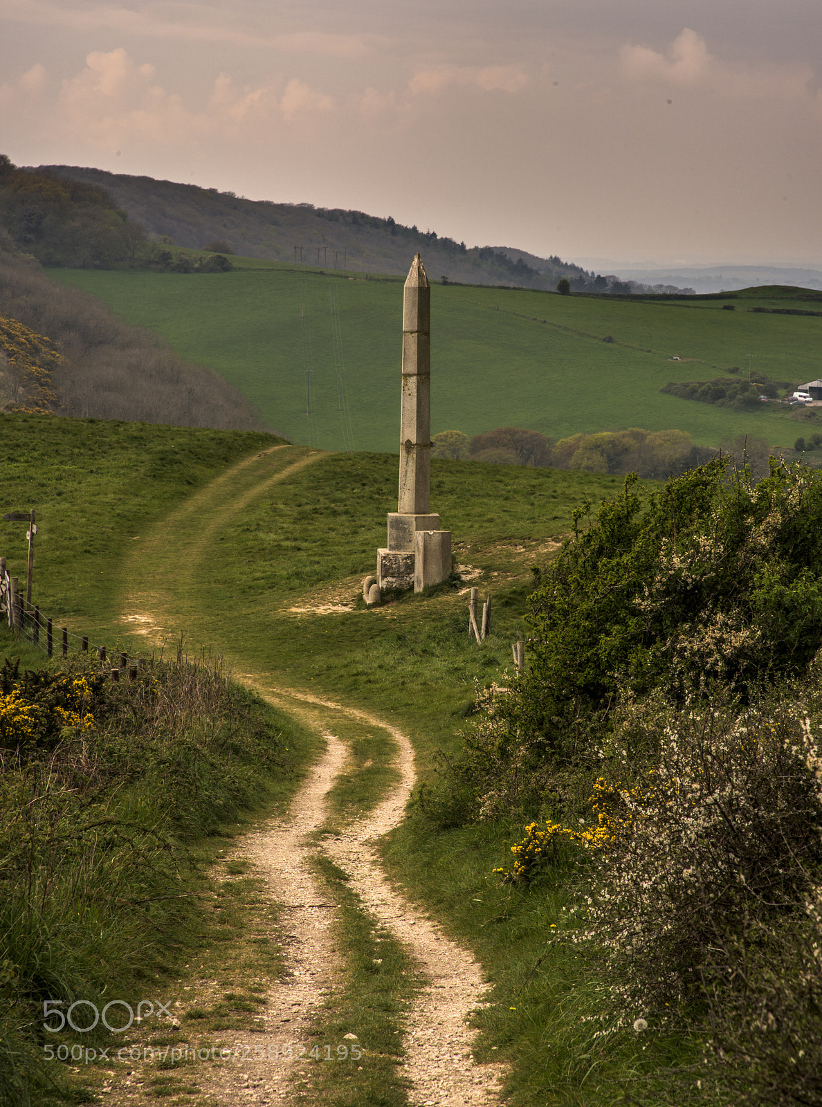 Nikon D810 sample photo. Obelisk near studland,dorset photography