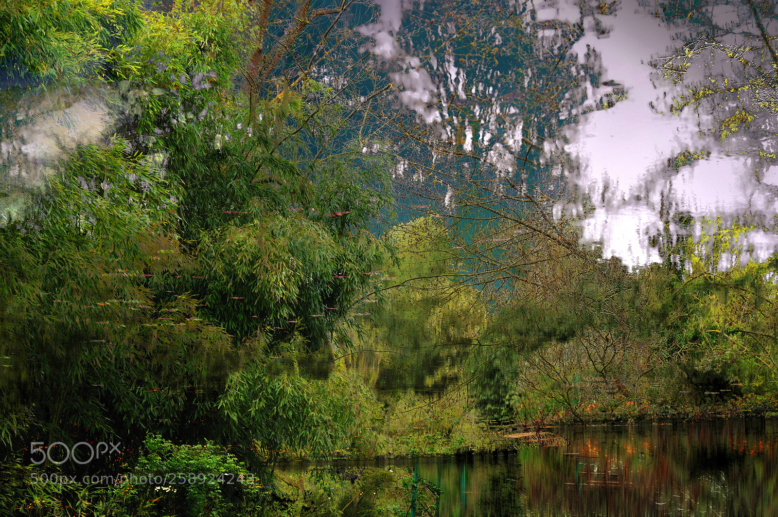 Nikon D300 sample photo. After the rain photography
