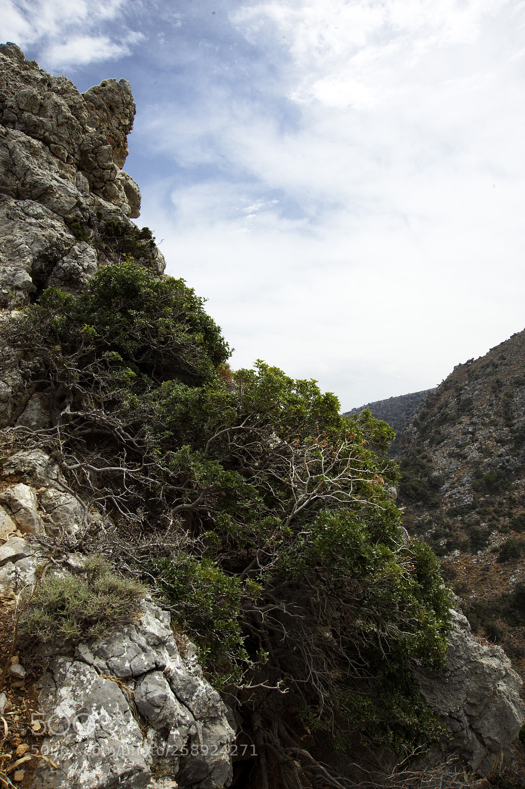 Nikon D700 sample photo. Crete, aposelemis canyon photography